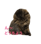 くりまんスタンプ（個別スタンプ：4）