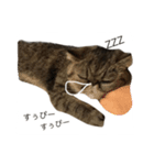 くりまんスタンプ（個別スタンプ：8）