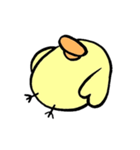 ふっくらひよこ（個別スタンプ：11）
