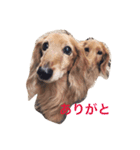らっるいスタンプです。（個別スタンプ：8）