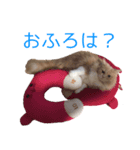 るるにゃんず（個別スタンプ：3）