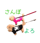 るるにゃんず（個別スタンプ：8）