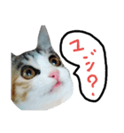 ロワのスタンプ（個別スタンプ：2）