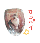 ロワのスタンプ（個別スタンプ：6）
