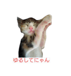 ロワのスタンプ（個別スタンプ：15）