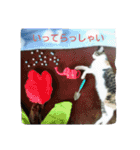 ロワのスタンプ（個別スタンプ：19）
