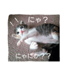 ロワのスタンプ（個別スタンプ：23）