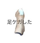私の顔、使ってもいいよ。（個別スタンプ：8）
