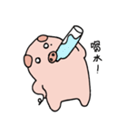 Pig's life（個別スタンプ：20）