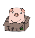 Pig's life（個別スタンプ：34）