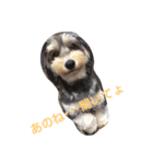 おしゃべりモアちゃん（個別スタンプ：5）