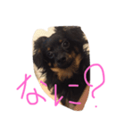 可愛い可愛いぽこちゃんスタンプ（個別スタンプ：7）
