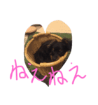 可愛い可愛いぽこちゃんスタンプ（個別スタンプ：8）