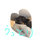 可愛い可愛いぽこちゃんスタンプ（個別スタンプ：14）