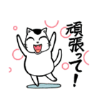 高血圧ねこ おむすび（個別スタンプ：13）