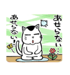 高血圧ねこ おむすび（個別スタンプ：37）