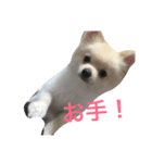 ♡ニコ♡（個別スタンプ：5）