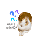 うさぎのミル（個別スタンプ：5）