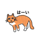 おはなしねこ（個別スタンプ：1）