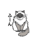 おはなしねこ（個別スタンプ：4）