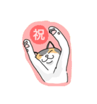 おはなしねこ（個別スタンプ：5）