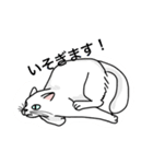 おはなしねこ（個別スタンプ：8）