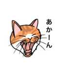 おはなしねこ（個別スタンプ：9）