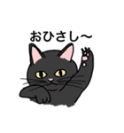 おはなしねこ（個別スタンプ：12）