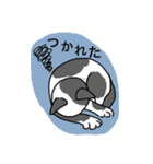 おはなしねこ（個別スタンプ：16）