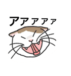 おはなしねこ（個別スタンプ：18）