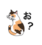 おはなしねこ（個別スタンプ：22）