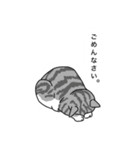 おはなしねこ（個別スタンプ：23）