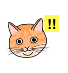 おはなしねこ（個別スタンプ：24）