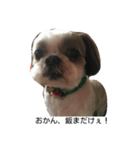 兵庫の甘えたれ犬（個別スタンプ：7）