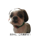 兵庫の甘えたれ犬（個別スタンプ：10）