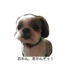 兵庫の甘えたれ犬（個別スタンプ：13）
