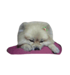 ちゅうべえ(仮)（個別スタンプ：6）