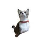 我が家猫（個別スタンプ：4）