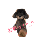 珊瑚君 ver3（個別スタンプ：8）