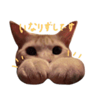 もぐむぎといいこ達（個別スタンプ：1）