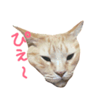 もぐむぎといいこ達（個別スタンプ：3）