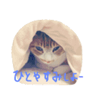 もぐむぎといいこ達（個別スタンプ：7）