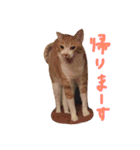 もぐむぎといいこ達（個別スタンプ：8）