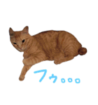 もぐむぎといいこ達（個別スタンプ：11）