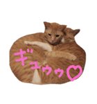 もぐむぎといいこ達（個別スタンプ：12）