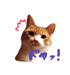 もぐむぎといいこ達（個別スタンプ：14）