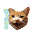 もぐむぎといいこ達（個別スタンプ：15）