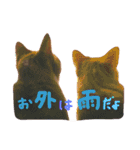 もぐむぎといいこ達（個別スタンプ：16）