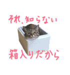 もぐむぎといいこ達（個別スタンプ：18）