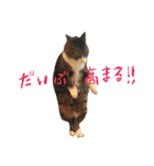 もぐむぎといいこ達（個別スタンプ：21）